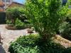 Appartamento in vendita con giardino a Carrara - centro - 02