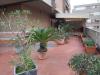 Appartamento in vendita con terrazzo a Carrara - marina di - 06