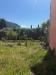 Casa indipendente in vendita a Ortonovo - isola - 03