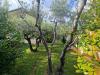 Villa in vendita con giardino a Carrara - corvenale - 05