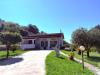 Villa in vendita con giardino a Massa - mirteto - 02