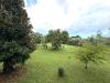 Villa in vendita con giardino a Montignoso - cervaiolo - 03