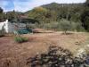 Terreno Agricolo in vendita a Carrara - fossone - 02