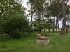 Villa in vendita con giardino a Asciano - 03
