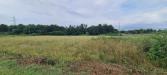 Terreno Agricolo in vendita a Castelfranco di Sotto - orentano - 02