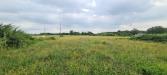 Terreno Agricolo in vendita a Castelfranco di Sotto - orentano - 04