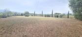 Terreno Agricolo in vendita a Castelfranco di Sotto - orentano - 05