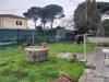 Appartamento in vendita con giardino a Buggiano - pittini - 02