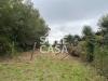 Terreno Agricolo in vendita a Fucecchio - massarella - 06