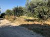 Terreno Edificabile in vendita a Mosciano Sant'Angelo in via maggi - 02, Foto 2