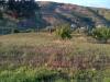 Terreno Agricolo in vendita a Silvi in circonvallazione boreale - 02, Foto 2