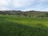 Terreno Agricolo in vendita a Tortoreto in via prato 5 - 02, Foto 2