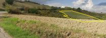 Terreno Agricolo in vendita a San Buono in cantarelli - 03, Foto 3