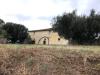 Rustico in vendita con giardino a Bellante in via della madonna 37 - 03, Foto 3