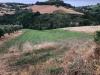 Terreno Agricolo in vendita a Bellante in via roma s. mauro - 03, Foto 3