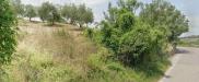 Terreno Agricolo in vendita a Bellante in via roma s. mauro - 03, Foto 3