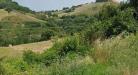 Terreno Agricolo in vendita a Bellante in via roma s. mauro - 07, Foto 7