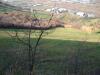 Terreno Agricolo in vendita a Colonnella in via truentina - 02, Foto 2