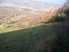 Terreno Agricolo in vendita a Colonnella in via truentina - 03, Foto 3