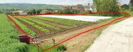 Terreno Edificabile in vendita a Roseto degli Abruzzi in contrada santa lucia - 02, Foto 2