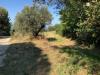Terreno Edificabile in vendita a Mosciano Sant'Angelo in via maggi - 03, Foto 3