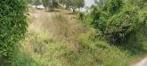 Terreno Agricolo in vendita a Bellante in via roma s. mauro - 04, Foto 4