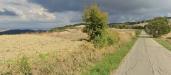 Terreno Agricolo in vendita a San Buono in cantarelli - 02, Foto 2