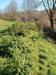 Terreno Agricolo in vendita a Lastra a Signa - 02