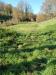 Terreno Agricolo in vendita a Lastra a Signa - 03