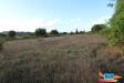 Terreno Agricolo in vendita a Colle di Val d'Elsa - la badia - 04