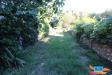 Appartamento in vendita con giardino a Sovicille - tonni - 02
