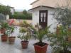 Appartamento in vendita con giardino a Castellina Marittima - le badie - 03