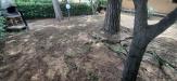 Appartamento in vendita con giardino a Rosignano Marittimo - castiglioncello - 03