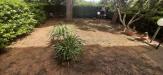Appartamento in vendita con giardino a Rosignano Marittimo - castiglioncello - 04