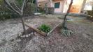 Appartamento in vendita con giardino a Rosignano Marittimo - castiglioncello - 03