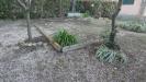 Appartamento in vendita con giardino a Rosignano Marittimo - castiglioncello - 04