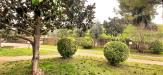 Villa in vendita con giardino a Castellina Marittima - le badie - 05