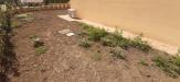 Appartamento bilocale in vendita con giardino a Rosignano Marittimo - vada - 02
