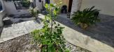 Casa indipendente in vendita con giardino a Rosignano Marittimo - rosignano solvay - 02