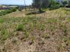 Terreno Edificabile in vendita a Massignano in strada provinciale 58 - 03, Foto 3