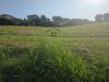 Terreno Agricolo in vendita a San Benedetto del Tronto in via posillipo - 03, Foto 3