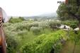 Villa in vendita con terrazzo a Ascoli Piceno - 03