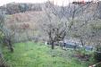 Terreno Agricolo in vendita a Venarotta - 04, Foto 4