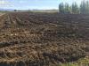 Terreno in vendita classe A4 a Capaccio - 02