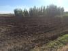 Terreno in vendita classe A4 a Capaccio - 03