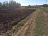 Terreno in vendita classe A4 a Capaccio - 06