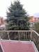 Appartamento bilocale in affitto arredato a Milano - 06, BALCONE.jpeg