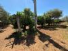 Terreno Agricolo in vendita a Massafra - 04, Foto 4