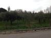 Terreno in vendita a Capriglia Irpina - 04