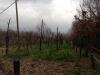 Terreno in vendita a Capriglia Irpina - 05